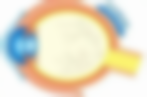 不同人群的填充建议