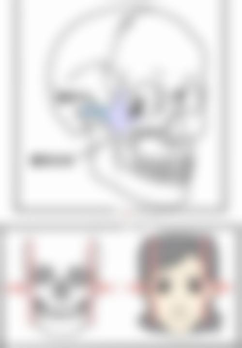 美学与风险提示