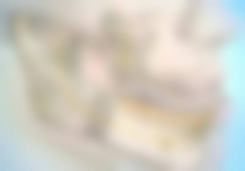 种植的头发多久可以稳固扎根