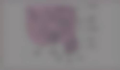 整容唇形有哪几种唇形