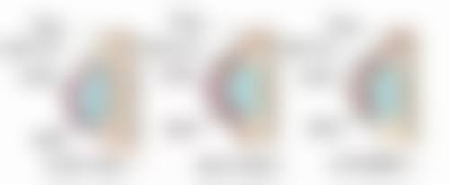 春季适合种植草莓吗？揭秘春季种草莓的3大优势，掌握这些技巧让你的草莓高产又美味！ 