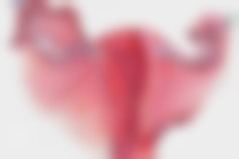 【三河慈康医疗整形美容诊所特色项目:】