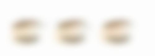 国内草莓属植物种质资源的研究、开发与利用进展