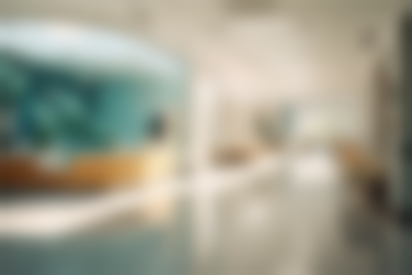 空军特色医学中 心(医疗美容科)是正规的吗?