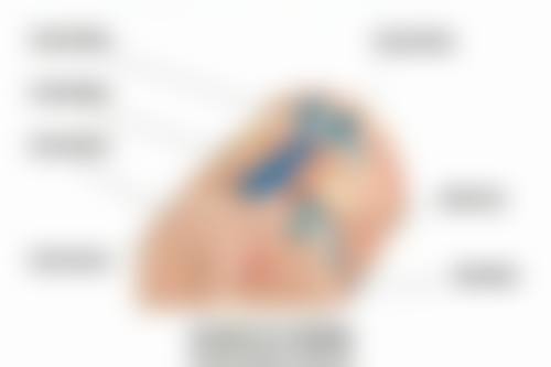 毛发种植效果有没有？权威分析揭秘种植后毛囊存活率超90%、持久浓密的医美神奇效果！ 