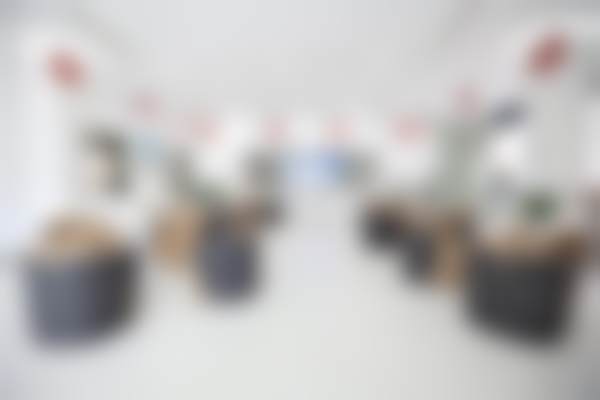 【李俊强医生技术特点】