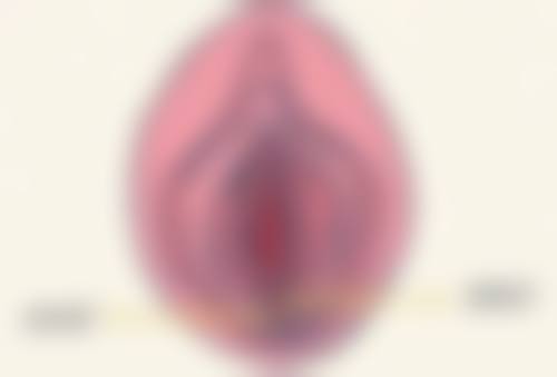 头发可以植吗?头发种植成效怎么样?