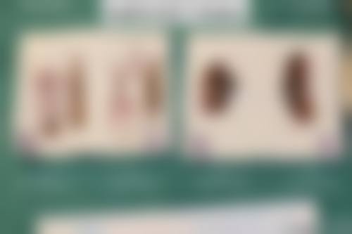 【渭南玖玲靓星医疗美容诊所医生团队：】