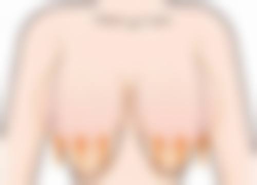 美白针成分配比