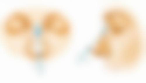 面部除皱术需要多少钱