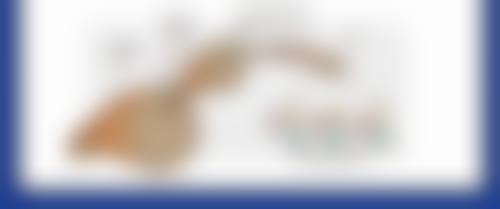 打瘦脸针需要注意什么