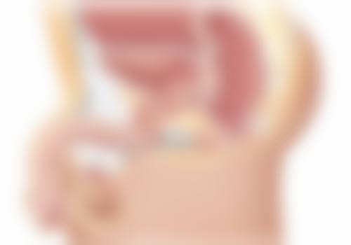 种植的头发脱落后多久会长新的？了解30 - 90天的关键生长期，让你告别脱发焦虑重获浓密秀发！ 