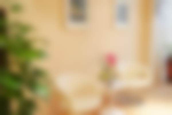 【姚海鸥医生荣誉资质】