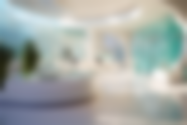 【汕头大学医学校第一附属医院整形外科特色项目:】