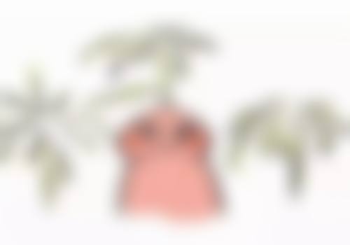 关于阴道紧缩术影响生育的常见观点