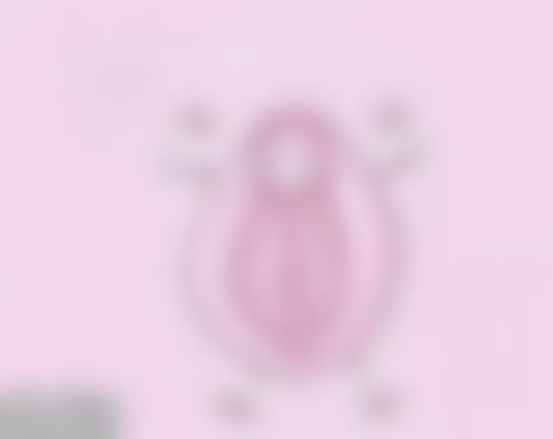 草莓在家里怎么种