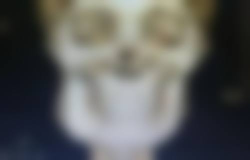 草莓在家种植好吗风水好吗