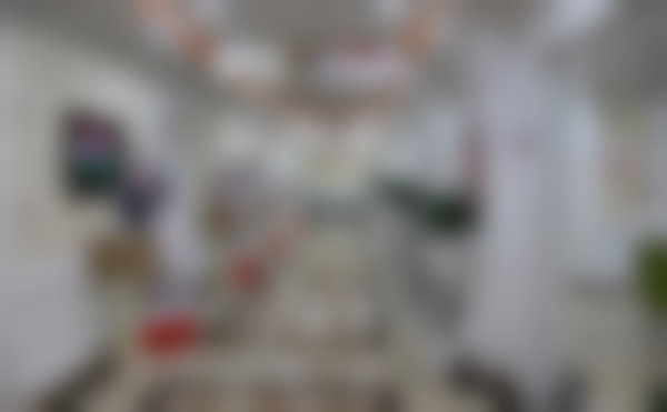 【宋军 医生荣誉资质：】