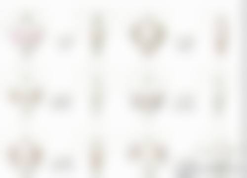 【韩国普瑞美整形外科诊疗设备：】