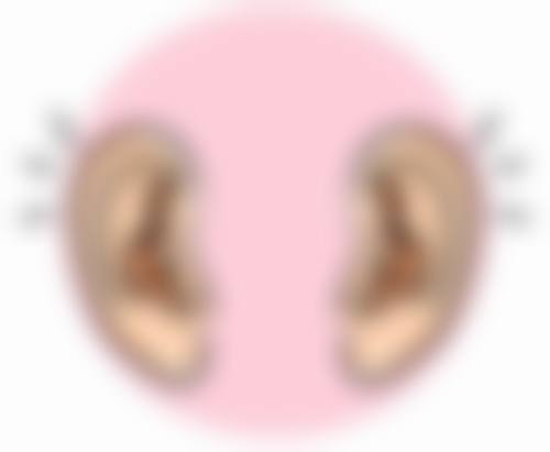 毛发种植多少天可以理发