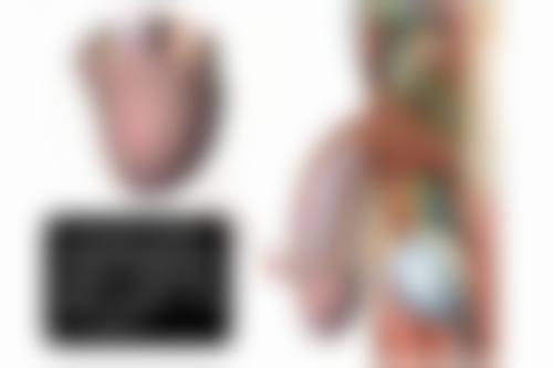 种植毛囊一般要多少钱