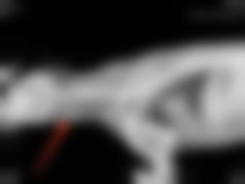 【温州粉范整形医疗美容门诊部是正规的吗?】