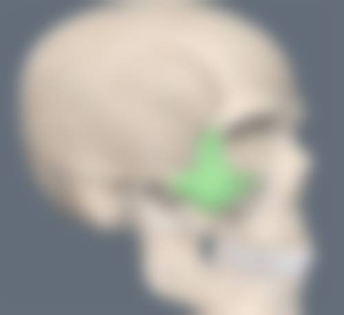 瘦脸针的价格情况