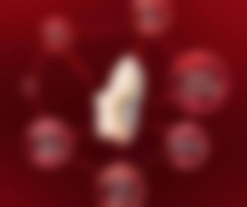 毛囊不够可以培育后再种植吗