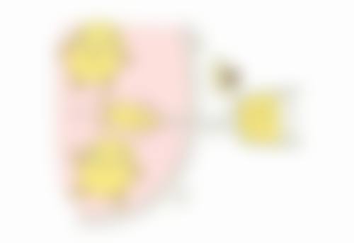 打瘦脸针注意事项有哪些呢？掌握这6大关键要点，让你安全变美，轻松拥有精致小V脸！ 