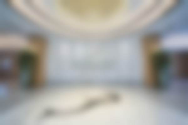 【申玲医生荣誉资质】