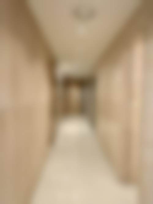 【铁岭刘医生美容整形口腔诊所特色项目:】