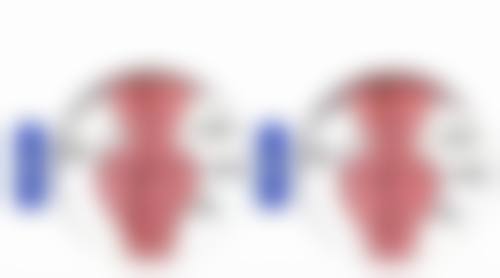 阴道紧缩术恢复期是多久？了解30天黄金恢复期护理要点，助你快速恢复紧致状态！ 