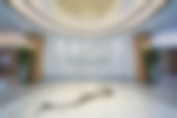 【张承武医生技术特点】