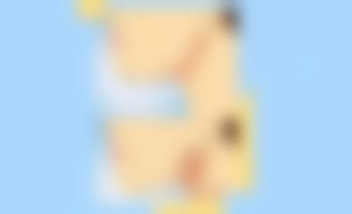 什么情况不适合毛发种植植物