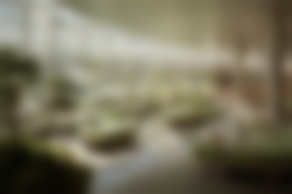 汉中星妍整形医院