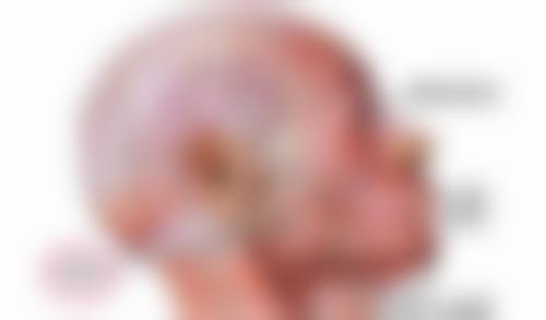 瘦脸针的注意事项