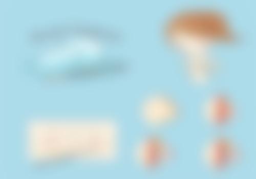 眉毛种植要注意什么？