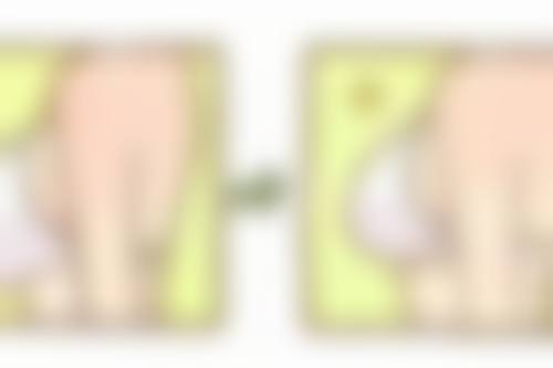 【王向东医生荣誉资质：】