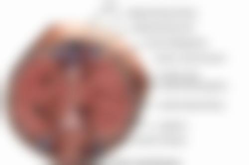 如何选择适合自己的瘦脸针品牌