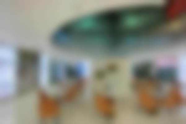 【范真真医生执业信息】