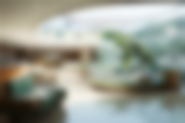 保定市第一中心医院烧伤整形外科