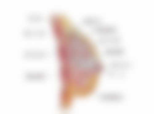 当女朋友新剪头发不好看该怎么回答？