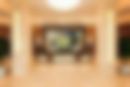 【刘新启医生技术特点：】