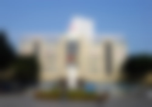 【深圳市龙岗中 心医院(整形外科)特色项目:】