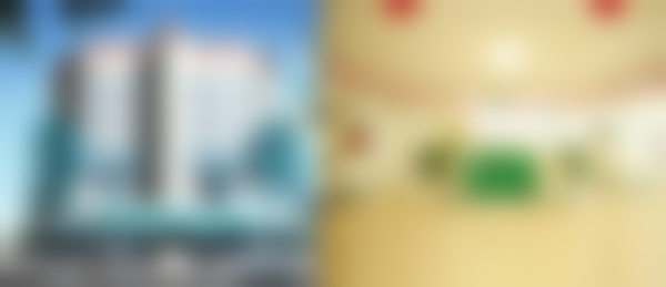 【蔡碧玉医生擅长项目：】