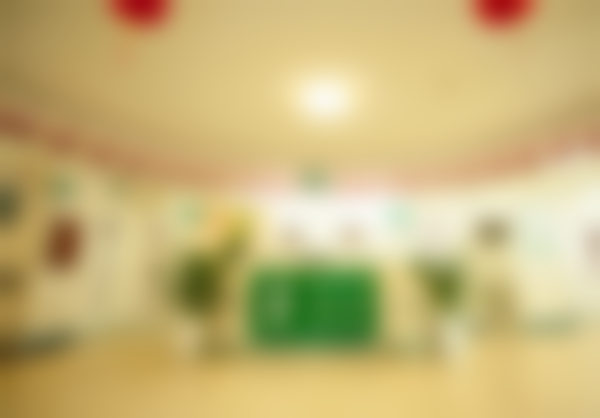 【蔡碧玉医生荣誉资质：】