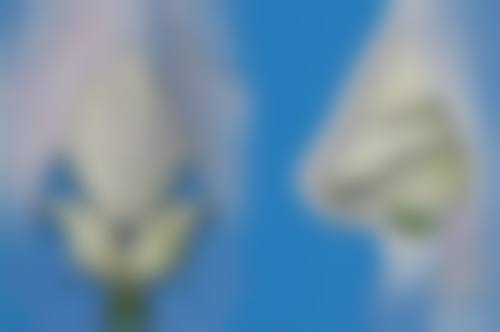 瘦脸针打完多久成效更明显