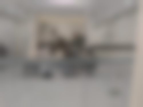 【高弘医生擅长项目】