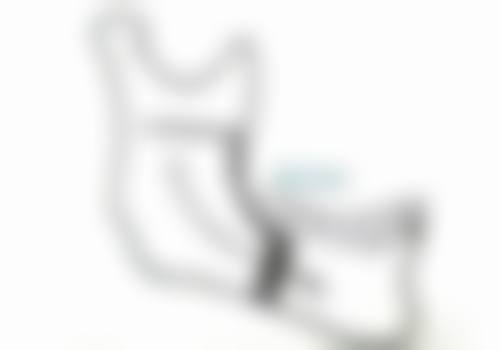 【陈挺医生荣誉资质:】