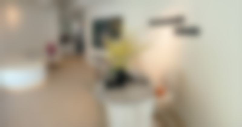 韩国江南SC301皮肤科